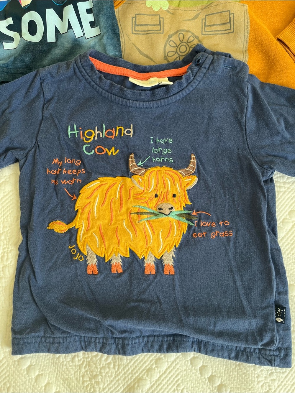 Kids Long Sleeve Tops & Dino Pants Set - Navy, Blue, Mustard, Gray - Picture 3 of 6